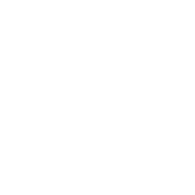 Ngawi Kertosono Jaya logo
