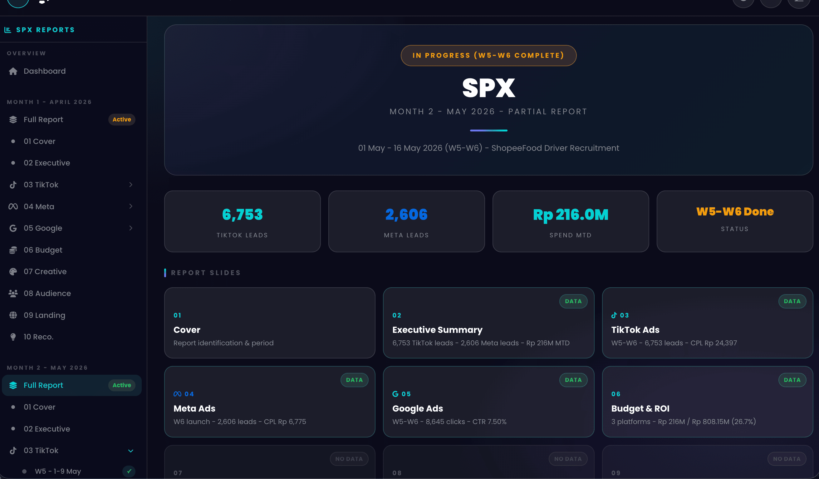 Arfadia live reporting dashboard, paid media performance overview across TikTok, Meta and Google